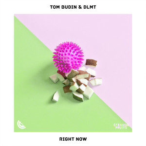 ดาวน์โหลดและฟังเพลง Right Now พร้อมเนื้อเพลงจาก Tom Budin