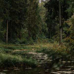 收聽vince slime的Lilo and Not Stitch (Explicit)歌詞歌曲