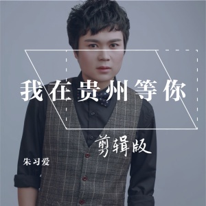 Listen to 我在贵州等你 (Live) song with lyrics from 朱习爱