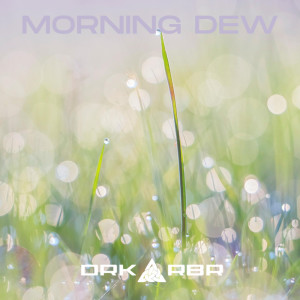 Listen to Morning Dew song with lyrics from DRK RBR