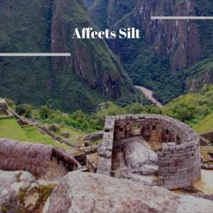 Listen to Reproduce song with lyrics from TISS