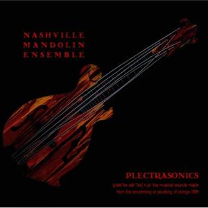 Nashville Mandolin Ensemble的專輯Plectrasonics