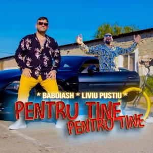 Album Pentru tine, pentru tine (feat. Liviu Pustiu) from Baboiash