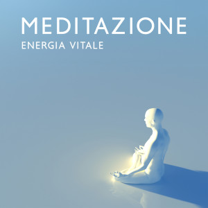Meditazione Musica Zen Institute的专辑Meditazione energia vitale (Vibrazioni dell'universo)