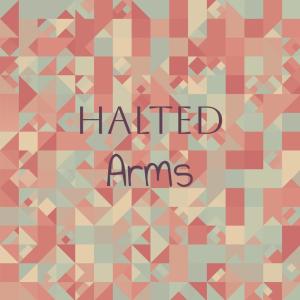 Various的专辑Halted Arms