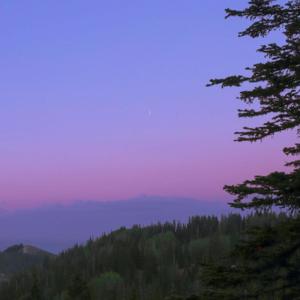 ดาวน์โหลดและฟังเพลง journey พร้อมเนื้อเพลงจาก Adizzle