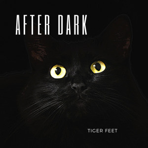 Listen to After Dark song with lyrics from Tiger Feet