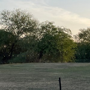 ดาวน์โหลดและฟังเพลง cyanide (Explicit) พร้อมเนื้อเพลงจาก Cookii