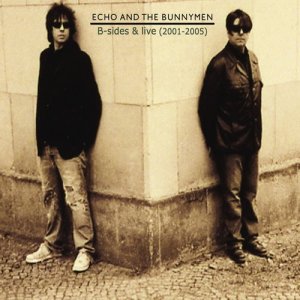 Album B-Sides and Live (2001 - 2005) from Echo And The Bunnymen