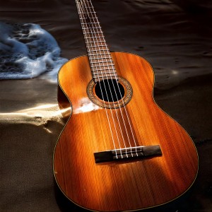 Guitar Chill Out的專輯Melodic Strings: A Journey in Guitar Music
