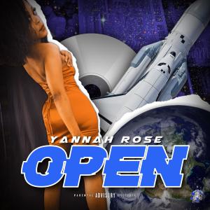Album Open (Explicit) from 
