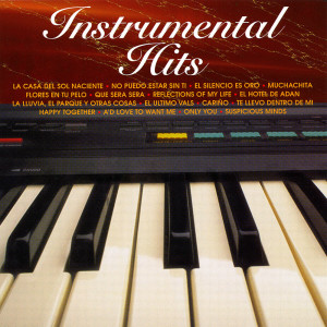 อัลบัม Instrumental Hits ศิลปิน Johnny Days Orchestra