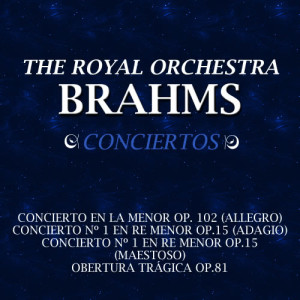 ดาวน์โหลดและฟังเพลง Concierto Nº 1 En Re Menor Op.15 (Adagio) พร้อมเนื้อเพลงจาก The Royal Orchestra