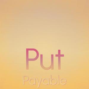 Various的专辑Put Payable