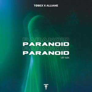 ดาวน์โหลดและฟังเพลง Paranoid (VIP Mix) พร้อมเนื้อเพลงจาก Alliane
