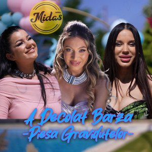Album A decolat barza (Piesa Gravidutelor) from Pământaș Ana Maria