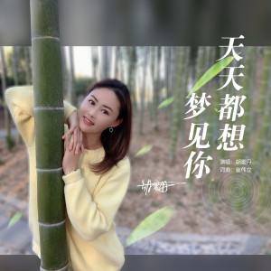 收听胡蜜丹的天天都想梦见你 (完整版)歌词歌曲