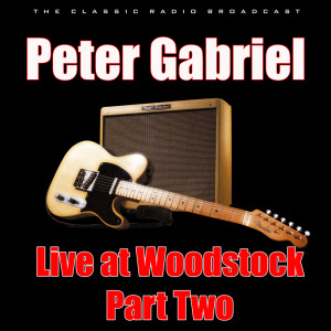 收听Peter Gabriel的In Your Eyes (Live)歌词歌曲