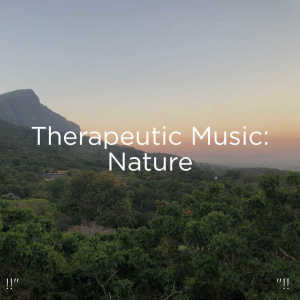 收聽BodyHI的Nature Music歌詞歌曲
