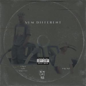 P Reign的專輯Sum Different (feat. Emo The Artist) (Explicit)