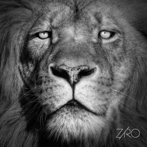 Listen to Dun Talk (feat. Riko Dan) song with lyrics from Ziro
