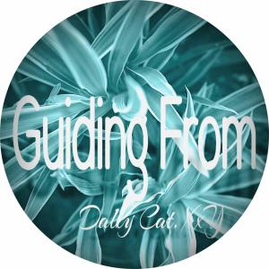 Listen to Guiding From song with lyrics from Dally Cat. XxY