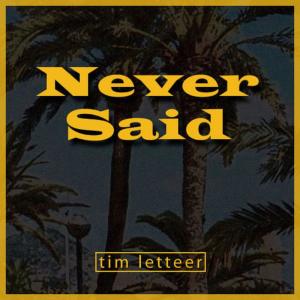 ดาวน์โหลดและฟังเพลง Never Said (TRL Original Dub) พร้อมเนื้อเพลงจาก Tim Letteer