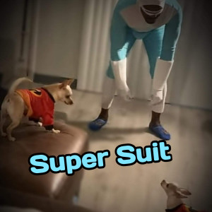 Album Super Suit from 