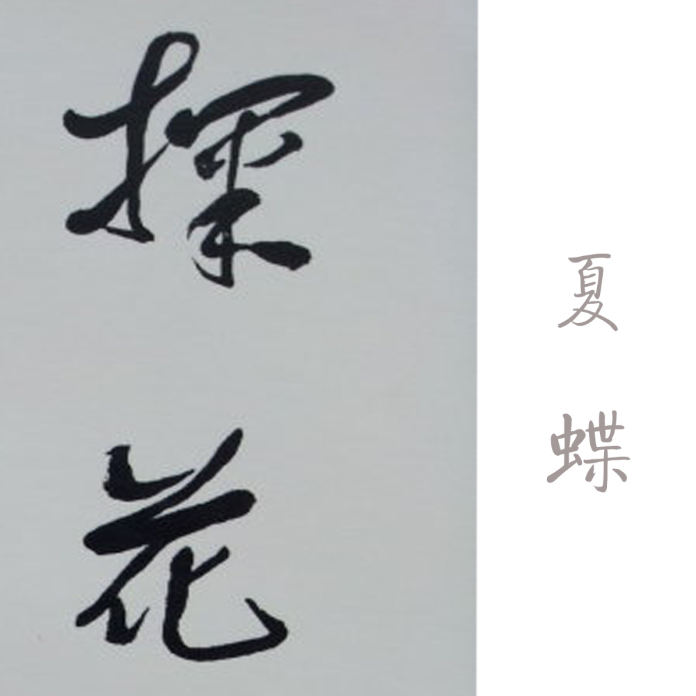 探花 (伴奏)