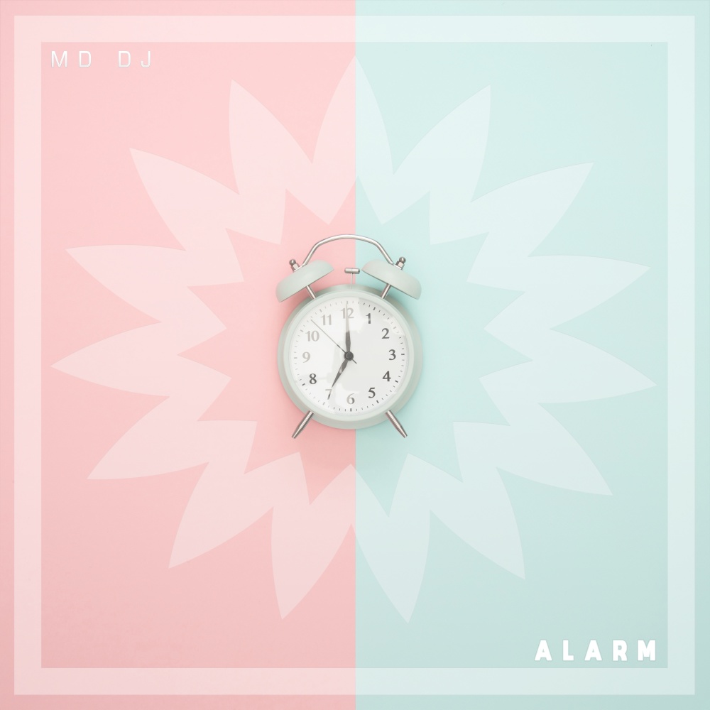 Alarm (Extended Version)