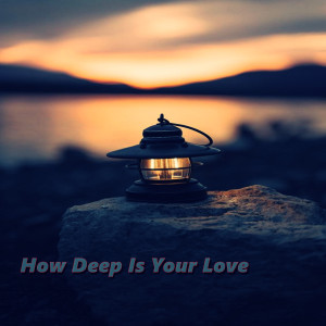 Leslie Suganandarajah的專輯How Deep Is Your Love