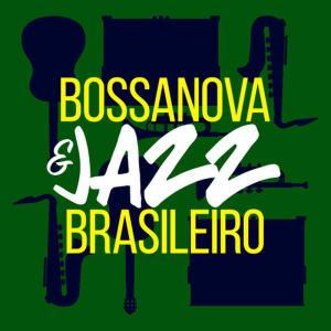 收聽Bossanova Brasilero的Adios歌詞歌曲