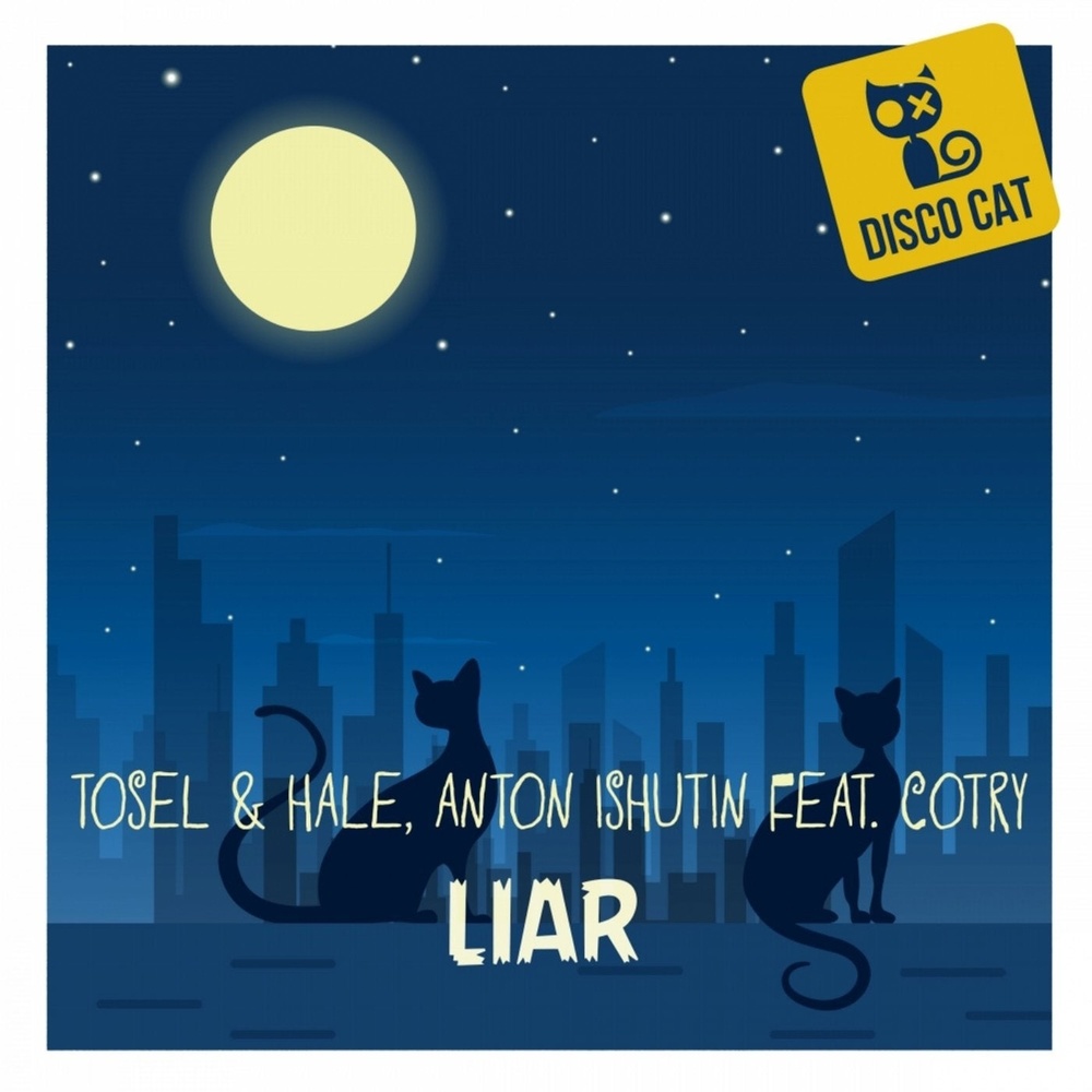 Liar (Original Mix)