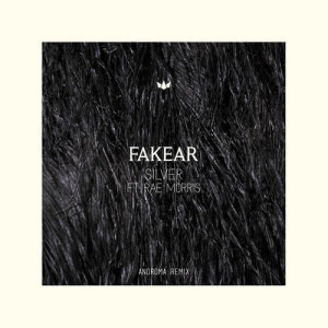 ดาวน์โหลดและฟังเพลง Silver (Androma Remix) พร้อมเนื้อเพลงจาก Fakear