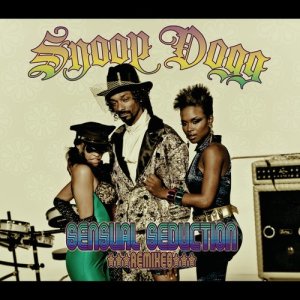 ดาวน์โหลดและฟังเพลง Sexual Eruption (Instrumental) พร้อมเนื้อเพลงจาก Snoop Dogg