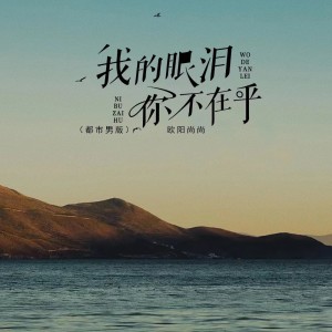 Album 我的眼泪你不在乎（辉煌版） oleh 欧阳尚尚