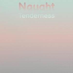 Various的专辑Naught Tenderness