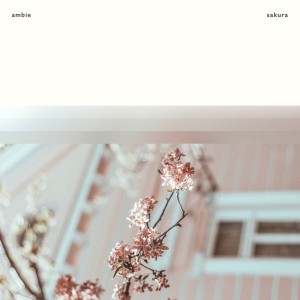 收聽ambie的sakura歌詞歌曲