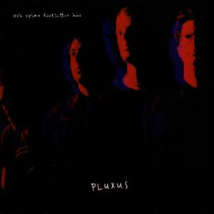 ดาวน์โหลดและฟังเพลง Hacka, gräva, skotta, såga พร้อมเนื้อเพลงจาก Pluxus
