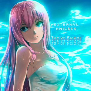 Album Top of Flight from KNIL$ES