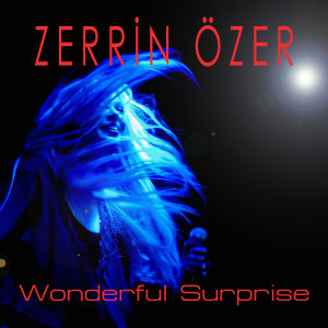 Listen to Wonderful Surprise (Okay Barış Version) song with lyrics from Zerrin Özer