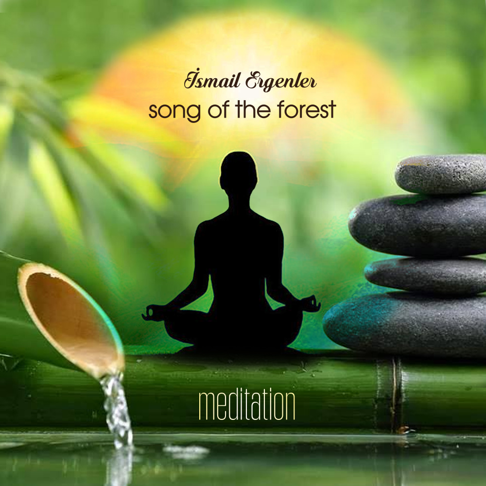 Song of the Forest (Meditation)