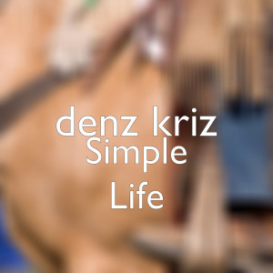 อัลบัม Simple Life ศิลปิน denz kriz