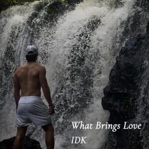 Brizzy的專輯What Brings Love // IDK (Explicit)