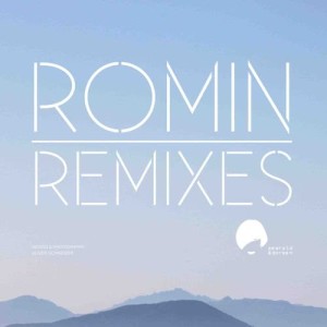 收聽Romin的Wasted (Did Virgo Remix)歌詞歌曲