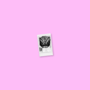Listen to Bralette song with lyrics from Austin Underwood