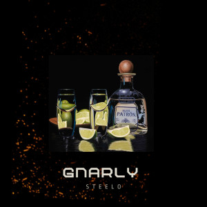 Album Gnarly (Explicit) from 