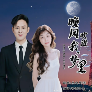 Album 晚风吹进我梦里_DJ（对唱版） from 张建琴