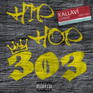 Listen to 303 Hip Hop (Explicit) song with lyrics from Damga