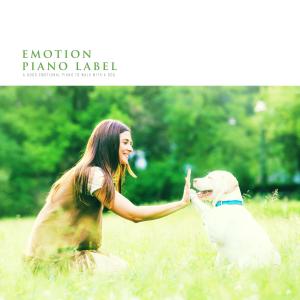ดาวน์โหลดและฟังเพลง Serene Morning Sea พร้อมเนื้อเพลงจาก Sun Rise
